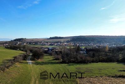 Teren extravilan 650mp Rusciori - 1