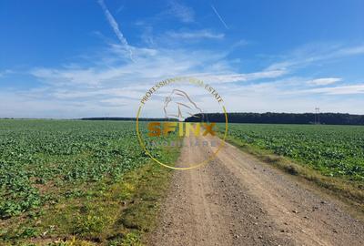 Teren Construcții intravilan de 27000 mp, în Brănești