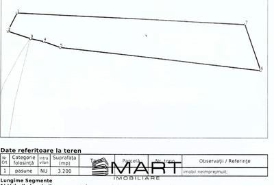 Teren extravilan 3200mp lac Sacel - 7
