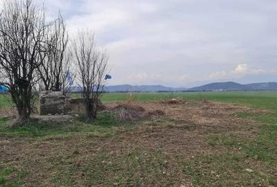 Teren Extravilan Voinigești, Gorj - 1