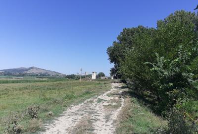 OCAZIE; teren MAHMUDIA 12euro/m.p. Suprafata 5000 m.p. Deschidere la Dunare 48m - 8