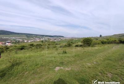 8.700 mp pentru dezvoltare rezidentiala la 3 km de CREIC - Chinteni - 7