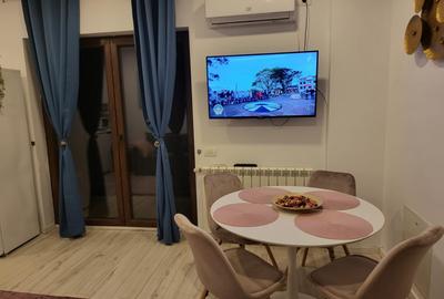De inchiriat apartament 2 camere - Parcul Carol - 12