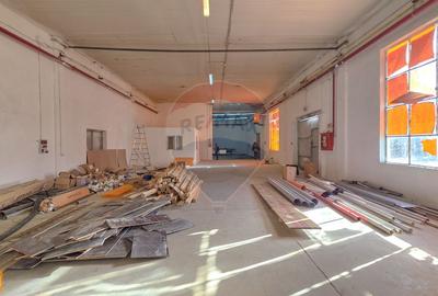 De vanzare spatiu industrial in Turnu Magurele - Teleorman - 31