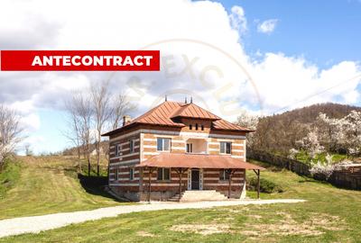Casă P+1 langa padure cu teren 4.752 mp Cosesti Arges - 1