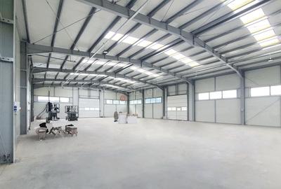 Productie Depozitare Logistica - 9