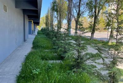 Studio în centrul  Stațiunii  Mamaia - 6
