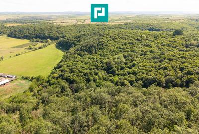 TEREN AGRICOL EXTRAVILAN  22.900 MP LIPOVA - 16