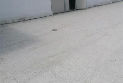 Hala 550mp zona Lunca Cetatuii - Dumbrava - 3