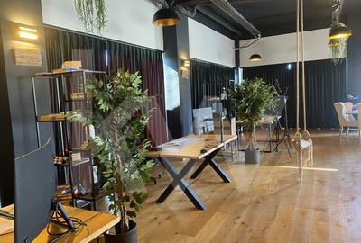 Spatii birouri de inchiriat coworking utilitati incluse Arhitectilor - 11