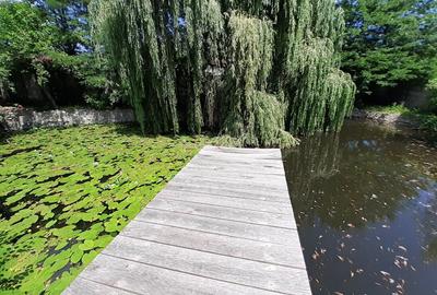 Teren de 3252mp zona Rompetrol cu casa D+P+E - 1