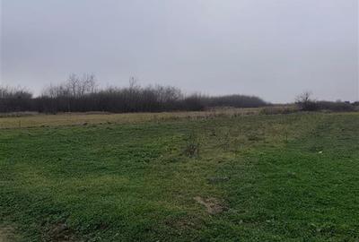 Teren intravilan in Cihei, cu PUZ aprobat, zona Fundatia Mihai Nesu - 4