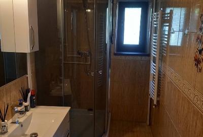 Apartament de vânzare, Dr. Tr. Severin - 4