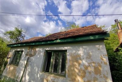Sasca Montana | Oportunitate | Casa cu 230 MP Teren - 8