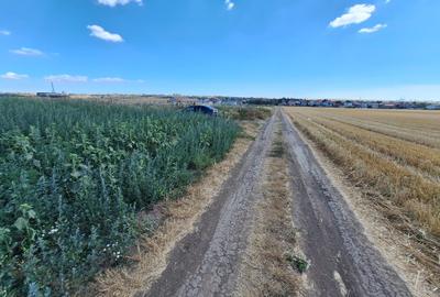 Teren de vanzare intravilan 5000mp localitatea Lazu - 1