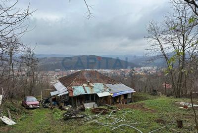 Comision 0%, Casa cu vedere panoramica si teren de 7680 Mp - 6