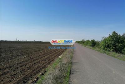 Teren 25000 mp Corbeanca str Floarea Soarelui cu PUZ Lotizat - 1