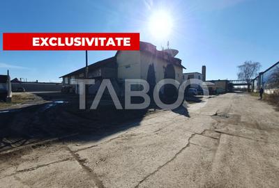 Hala + Spatiu Birouri pe Platforma Industriala Fagaras S = 1750 mp - 1