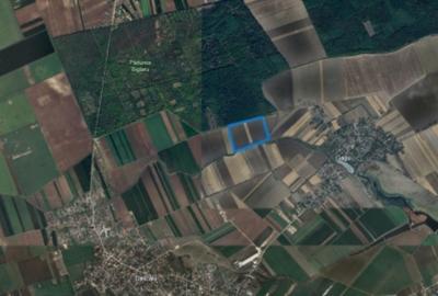 Teren de vanzare in Ilfov, Gagu, deschidere 74ml, 20762mp, 62.000euro - 1