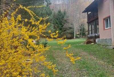 CASĂ DE VACANȚĂ 5 CAMERE,POINANA MĂRULUI, JUD.CARAȘ-SEVERIN - 2