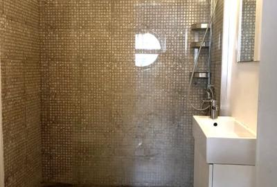 Proprietar inchiriez apartament 4 camere Sisesti | 169 mp | 2 locuri garaj - 13