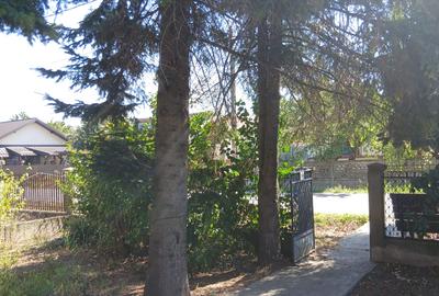 Casa cu teren mare in Bolintin Deal - 2