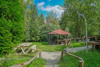 COMPLEX HOTELIER POTENTIAL EXTINDERE | PREDEAL CIOPLEA | 2734 MP TEREN - 6