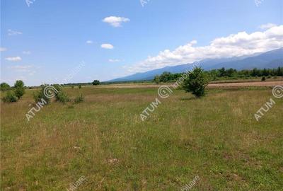 Teren intravilan 5000 mp pe Valea Avrigului, Sibiu - 9