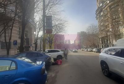 Spatiu Comercial Stradal Șoseaua Colentina zona Teiul Doamnei Suveica - 38