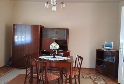 Casa de vanzare in localitatea Suplacul de Barcau - 9