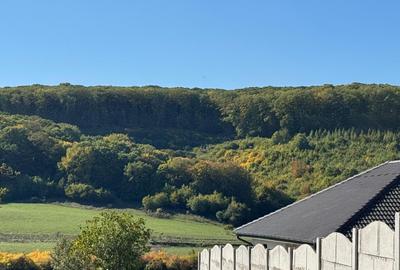 Teren intravilan in localitatea Betfia - 5