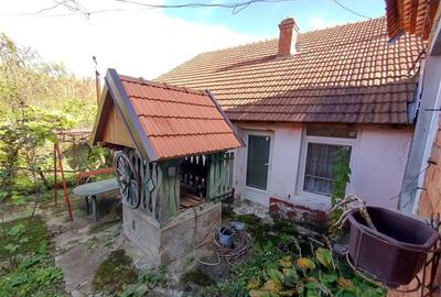 Nicolint, Casa la Cheie, 5 Incaperi, Pret Negociabil - 37