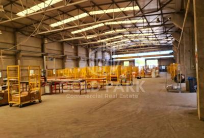 Sp. Industrial -Zona Someseni - Transformator/Pod Rulant/Luminatoare - 3