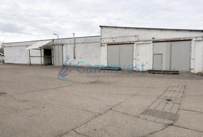 Hala industriala de inchiriat in Oradea, productie sau depozitare,Calea Borsului - 3