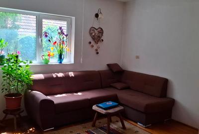 Proprietar vând casă în Valea Lupului – poziție excelentă, grădină superbă și po - 4