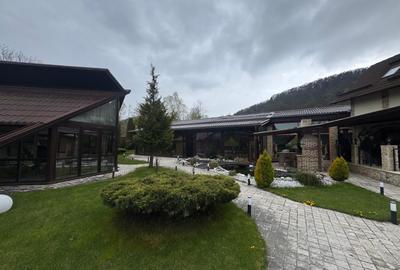 Pensiune deosebită în Bran || priveliște panoramică, facilitati premium - 40