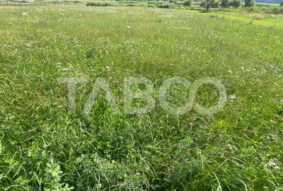 Teren intravilan 3450 mp Boita, 35 m deschidere, la 700 m de A1 - 1