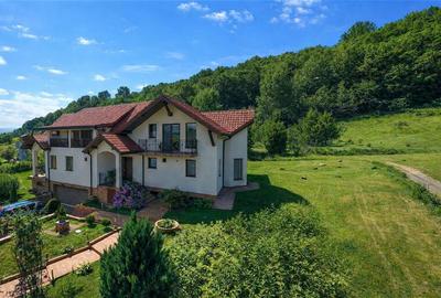 FILM! Resedinta nobiliara, in inima coltului verde al Vaii Nandrului: Pestisu Mi - 1