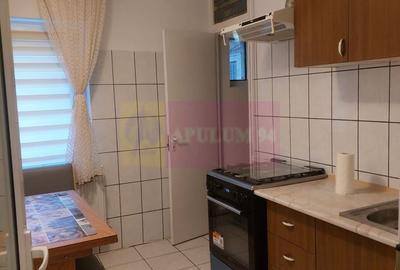 Apartament Piata Sudului- Sun Plaza- Brancoveanu. - 9