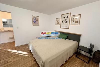 Inchiriere garsoniera IN VILA Piata Victoriei Titulescu CURTE PROPRIE - 7
