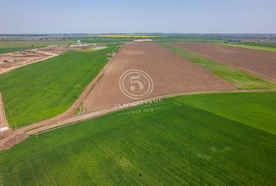 Oportunitate Dezvoltare Imobiliară: Teren 22.700 mp lipit de Cosmopolis - 12