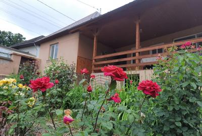 Comuna Augustin, casa deosebita, renovata integral, mobilata si utilata full!!!