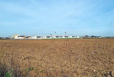 „Corbeanca – aer curat, potențial mare, preț competitiv. 4 loturi - 3