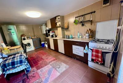 Inchiriem cabana in Calimanesti (Seaca), cu ponton la Olt, gradina - 6