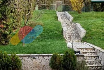 Duplex cu piscină și curte generoasă | Grigorescu – Str. Uliului | Garaj - 1