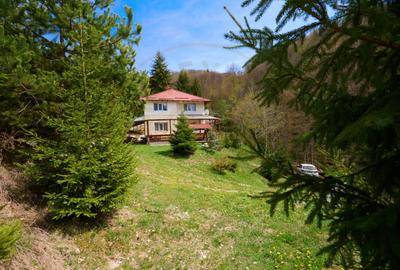 Casa Dambovicioara - CASA de vacanta sau PENSIUNE profitabila - 1