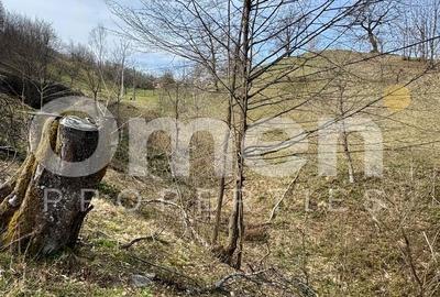 Teren intravialn | 6476 mp | Ulmoasa | zonă superbă - 4