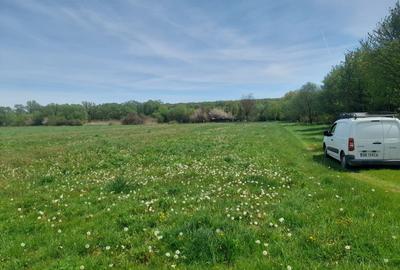 Teren de vanzare intravilan 5000 m2 Cisnadie zona SOMA - 5