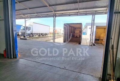 Hala/Depozit-Zona Autostrazii-Curte Betonata/Rampa-350-660-900 mp - 10