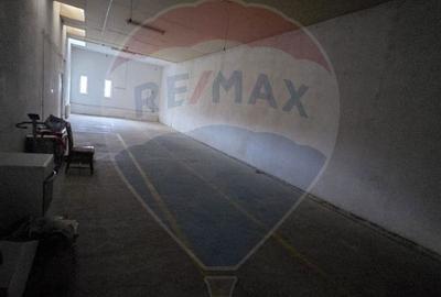 Ansamblu casa de locuit, hala productie ,spatiu de birouri si teren - 16